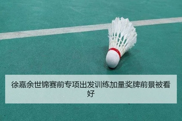 徐嘉余世锦赛前专项出发训练加量奖牌前景被看好
